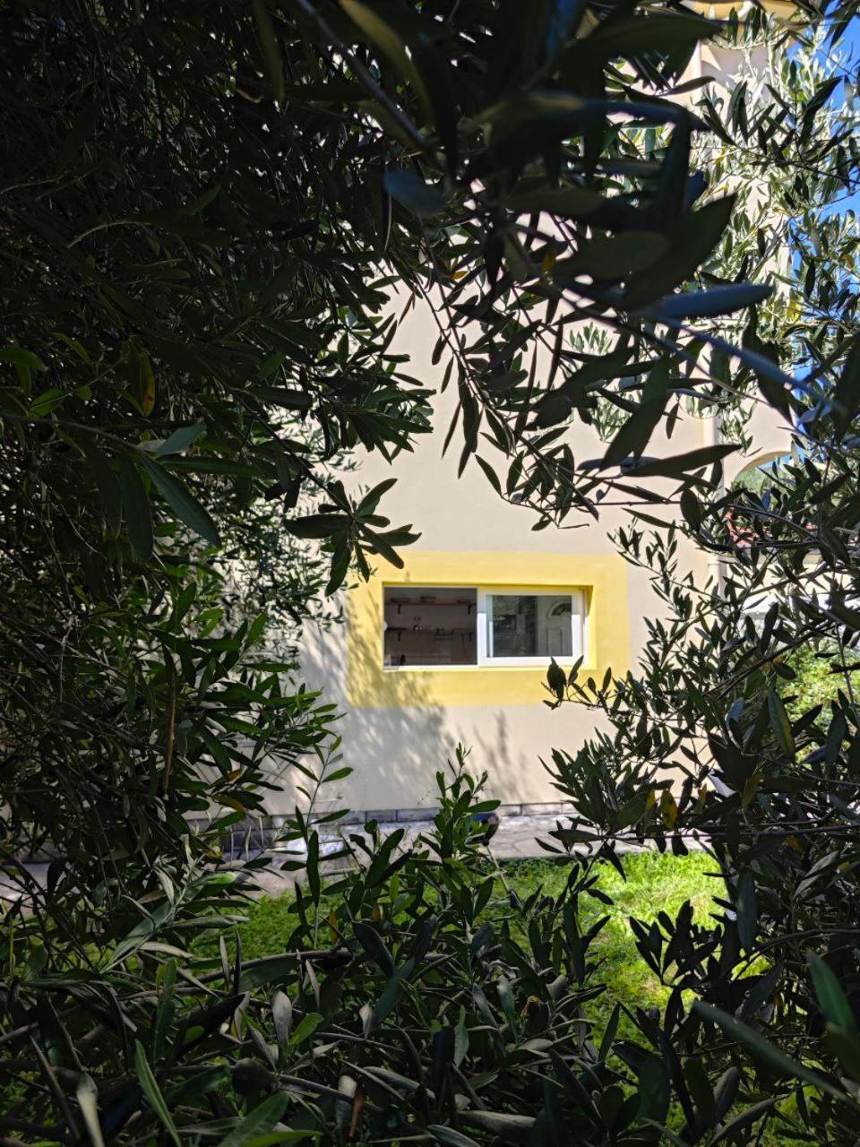 Apartmani Radovic Bijela Exterior foto